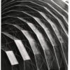 concentric model detail - Image 2